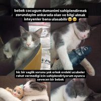 Sevgi yum..