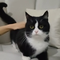 Güzel kız..