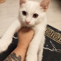 DÜNYA GÜZ..