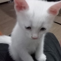 Bebişime..