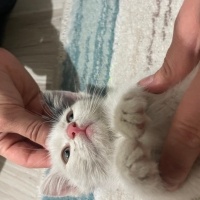 Mini minn..