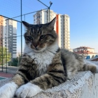 Bahçemizd..