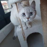 Tamamen ü..