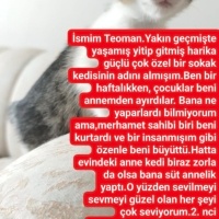 Melez Haf..