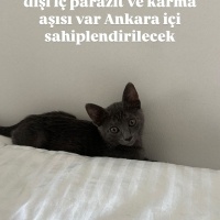 Mia çok t..