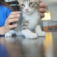 Minik oğl..