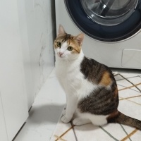 Çok akıll..