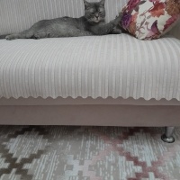 Geçici Yu..
