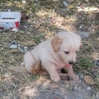 HADİ BU T..