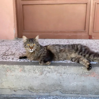 Minik kız..