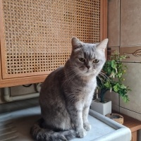 Yavruları..