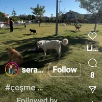 ÇEŞME YAN..