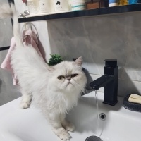 Acil Kalı..