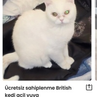 Ücretsiz..