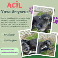 DEDE ACİL..