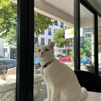 Güzel Kız..