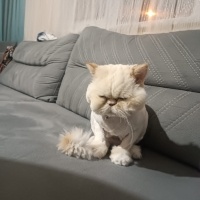 Erkek kıs..