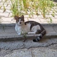 Çok insan..