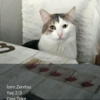 Güzelliği..