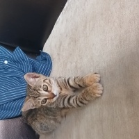 Acil Ömür..