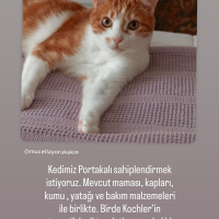 Yeni Yuva..