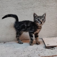 Çocuklar..