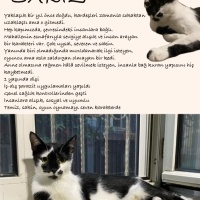 Sakız, 1..