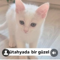 Ücretsiz..