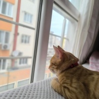 Çok oyunb..