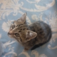 Minik beb..