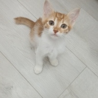 Sevgi dol..