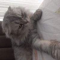 Çok tatlı..