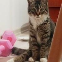 Güzel oğl..