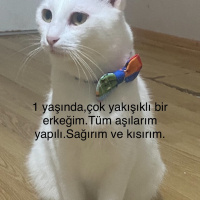 Sevgi dol..