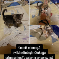 O kadar g..