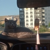 Oğlumuz 3..