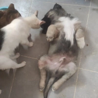 BULUT ÇOK..