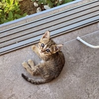 Bir Minik..