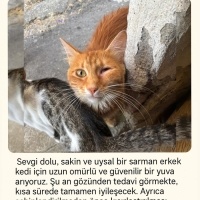 Sakin ve..