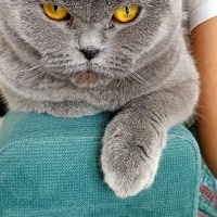 güzel kız..