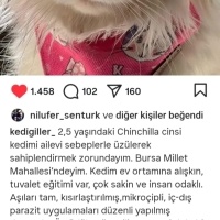 AŞILARI T..