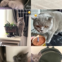 Uslu oğlu..