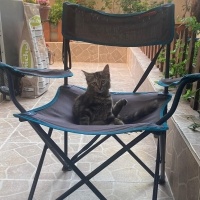 Minnoş kı..