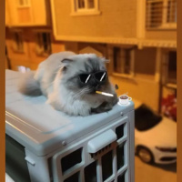 Eğitimli..
