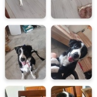 Sadie'ye..