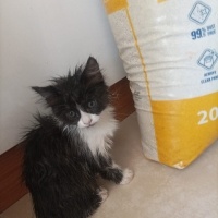 Çok oyunc..