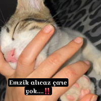 Emziksiz..
