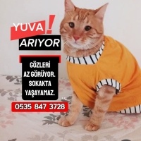 Ücretsiz..