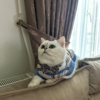 Taşınmak..