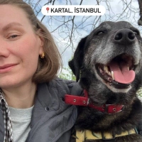 Bu Zeytin..